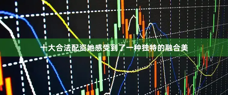 十大合法配资她感受到了一种独特的融合美