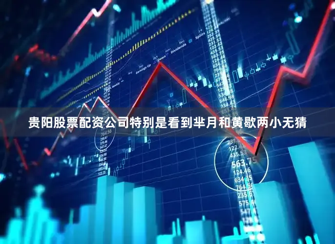 贵阳股票配资公司特别是看到芈月和黄歇两小无猜