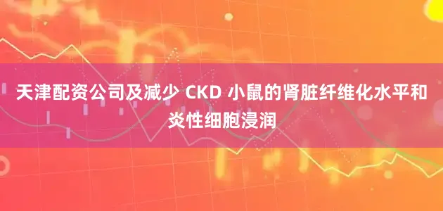 天津配资公司及减少 CKD 小鼠的肾脏纤维化水平和炎性细胞浸润